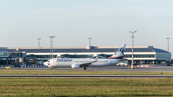 Voyages et découvertes : les pépites de la loutre vadrouille